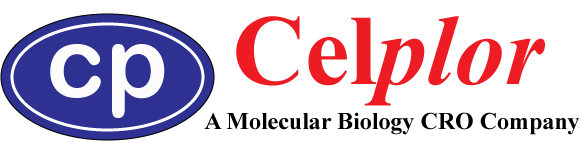 Welcome to Celplor LLC-A Molecular Biology CRO Company